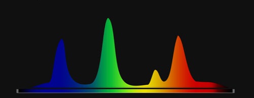 Lysstofrørs spektrum. Det fremgår, at lysstofrøret ikke udsender så meget lys i den røde og infrarøde del af spektret.