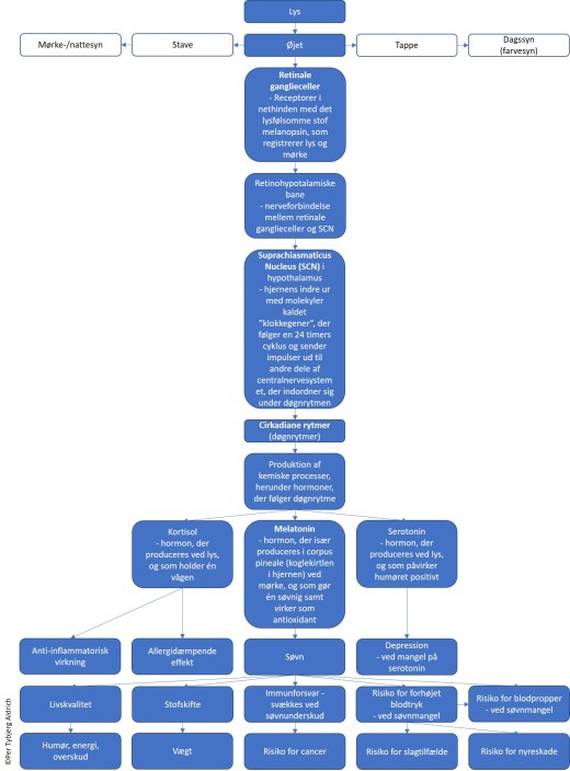 Soevn-og-sundhed_ver4