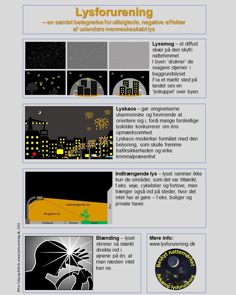 Hvad er lysforurening DA IG